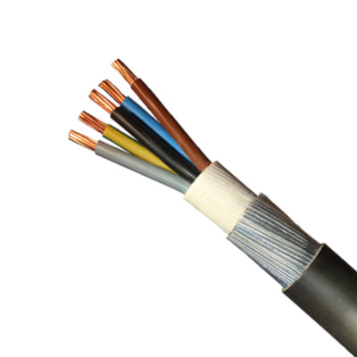 6mm 2 Core Steel Wire Armoured SWA Cable from Hongda Cable